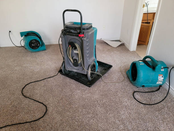 Best Fire Damage Restoration  in Oak Park, MI