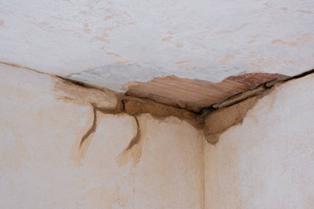 Best Residential water damage restoration  in Oak Park, MI