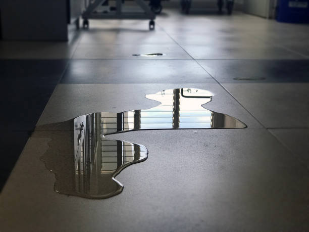 Local water damage restoration in Oak Park, MI