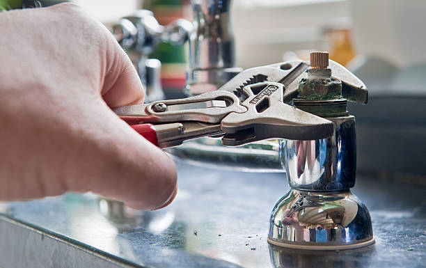Best Water damage restoration mold remediation  in Oak Park, MI