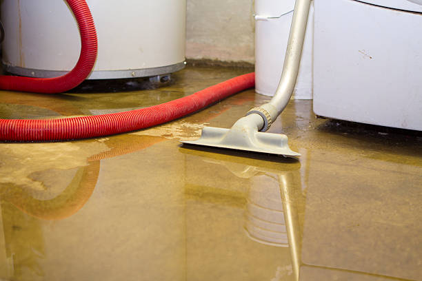 Best Mold removal after water damage  in Oak Park, MI