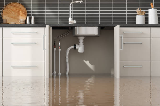 Best Water damage restoration experts  in Oak Park, MI